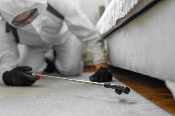 Professional Cockroach Control technician working in East Lake, FL